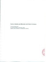 Báo cáo tài chính năm 2009 (đã kiểm toán) - Công ty cổ phần CMISTONE Việt Nam