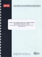 Báo cáo tài chính năm 2013 (đã kiểm toán) - Công ty cổ phần Đầu tư và Phát triển Đô thị Dầu khí Cửu Long