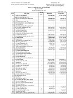Báo cáo tài chính quý 3 năm 2010 - Công ty Cổ phần Viglacera Bá Hiến