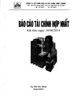 Báo cáo tài chính hợp nhất quý 2 năm 2014 - Công ty Cổ phần Đầu tư Xây dựng Bình Chánh