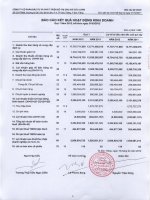 Báo cáo KQKD quý 1 năm 2012 - Công ty cổ phần Đầu tư và Phát triển Đô thị Dầu khí Cửu Long