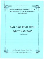 Báo cáo tình hình quản trị công ty - Công ty Cổ phần Khoáng sản Vinas A Lưới
