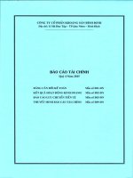 Báo cáo tài chính quý 4 năm 2015 - Công ty cổ phần Khoáng sản Bình Định