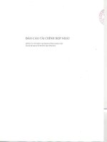 Báo cáo tài chính hợp nhất quý 1 năm 2015 - Công ty Cổ phần Tập đoàn Công nghệ CMC