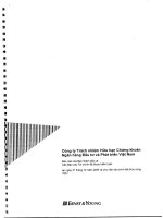 Báo cáo tài chính năm 2009 (đã kiểm toán) - Công ty cổ phần Chứng khoán Ngân hàng Đầu tư và Phát triển Việt Nam