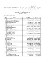 Báo cáo tài chính quý 3 năm 2009 - Công ty Cổ phần Xi măng Bỉm Sơn