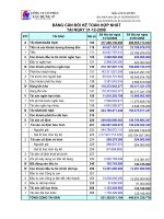 Báo cáo tài chính hợp nhất năm 2008 (đã kiểm toán) - Công ty Cổ phần Xây dựng 47