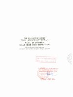 Báo cáo tài chính năm 2009 (đã kiểm toán) - CTCP Xuất nhập khẩu Than - Vinacomin