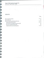 Báo cáo tài chính hợp nhất năm 2012 (đã kiểm toán) - Công ty Cổ phần Tập đoàn Công nghệ CMC