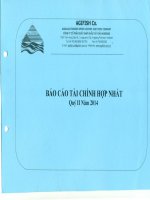 Báo cáo tài chính hợp nhất quý 2 năm 2014 - Công ty Cổ phần Xuất nhập khẩu Thủy sản An Giang