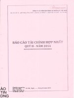 Báo cáo tài chính hợp nhất quý 2 năm 2014 - Công ty cổ phần Xây dựng và Nhân lực Việt Nam
