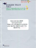 Báo cáo tài chính công ty mẹ năm 2012 (đã kiểm toán) - Công ty cổ phần Xây dựng và Nhân lực Việt Nam