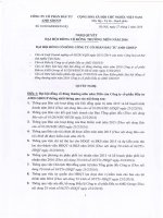 Nghị quyết Đại hội cổ đông thường niên - Công ty cổ phần Đầu tư AMD Group