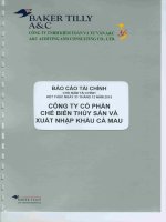 Báo cáo tài chính công ty mẹ năm 2015 (đã kiểm toán) - Công ty Cổ phần Chế biến và Xuất nhập khẩu Thuỷ sản Cà Mau