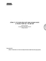 Báo cáo tài chính quý 2 năm 2011 (đã soát xét) - CTCP Sản xuất Kinh doanh Dược và Trang thiết bị Y tế Việt Mỹ