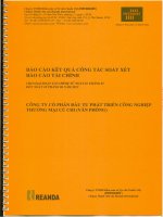 Báo cáo tài chính công ty mẹ quý 2 năm 2012 (đã soát xét) - Công ty Cổ phần Đầu tư Phát triển Công nghiệp - Thương mại Củ Chi