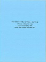 Báo cáo tài chính hợp nhất quý 3 năm 2015 - Công ty cổ phần Bamboo Capital