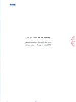 Báo cáo tài chính hợp nhất năm 2014 (đã kiểm toán) - Công ty Cổ phần Đồ hộp Hạ Long