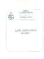 Báo cáo tài chính hợp nhất quý 2 năm 2012 - Công ty Cổ phần Xuất nhập khẩu Thủy sản An Giang