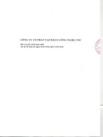 Báo cáo tài chính hợp nhất quý 4 năm 2015 - Công ty Cổ phần Tập đoàn Công nghệ CMC