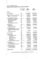 Báo cáo tài chính năm 2008 (đã kiểm toán) - Công ty Cổ phần Nam Việt