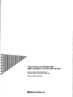 Báo cáo tài chính năm 2012 (đã kiểm toán) - Tổng Công ty Cổ phần Bảo hiểm Ngân hàng Đầu tư và phát triển Việt Nam