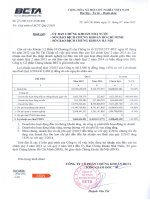 Báo cáo tài chính quý 2 năm 2015 - Công ty Cổ phần Chứng khoán BETA