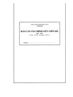 Báo cáo tài chính quý 1 năm 2011 - Công ty Cổ phần Chế biến và Xuất nhập khẩu Thuỷ sản Cà Mau