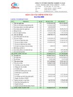 Báo cáo tài chính quý 1 năm 2009 - Công ty Cổ phần Thương nghiệp Cà Mau