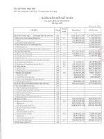 Báo cáo tài chính hợp nhất quý 3 năm 2011 - Công ty Cổ phần Nam Việt