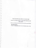 Báo cáo tài chính quý 2 năm 2013 (đã soát xét) - Công ty Cổ phần Khai thác và Chế biến Khoáng sản Bắc Giang