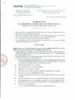 Nghị quyết Đại hội cổ đông bất thường - Công ty cổ phần CMISTONE Việt Nam