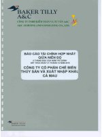 Báo cáo tài chính hợp nhất quý 2 năm 2015 (đã soát xét) - Công ty Cổ phần Chế biến và Xuất nhập khẩu Thuỷ sản Cà Mau