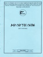 Báo cáo tài chính quý 3 năm 2012 - Công ty cổ phần Đầu tư và Phát triển Đô thị Dầu khí Cửu Long
