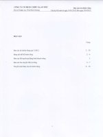 Báo cáo tài chính công ty mẹ quý 3 năm 2012 - Công ty Cổ phần Chiếu xạ An Phú