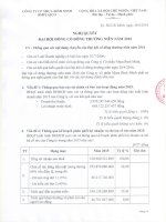 Nghị quyết Đại hội cổ đông thường niên - Công ty Cổ phần Nhựa Bình Minh