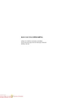 Báo cáo tài chính công ty mẹ quý 2 năm 2015 (đã soát xét) - Công ty Cổ phần Văn hóa Tân Bình