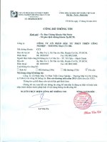 Báo cáo thường niên năm 2015 - Công ty Cổ phần Đầu tư Phát triển Công nghiệp - Thương mại Củ Chi