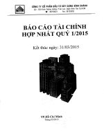 Báo cáo tài chính hợp nhất quý 1 năm 2015 - Công ty Cổ phần Đầu tư Xây dựng Bình Chánh