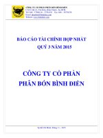 Báo cáo tài chính hợp nhất quý 3 năm 2015 - Công ty cổ phần Phân bón Bình Điền