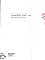 Báo cáo tài chính công ty mẹ năm 2015 (đã kiểm toán) - Tổng Công ty Cổ phần Bảo hiểm Ngân hàng Đầu tư và phát triển Việt Nam