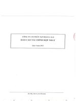 Báo cáo tài chính hợp nhất quý 4 năm 2015 - Công ty Cổ phần Tập đoàn C.E.O