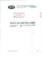 Báo cáo thường niên năm 2010 - Công ty Cổ phần Chiếu xạ An Phú