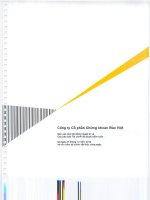 Báo cáo tài chính năm 2012 (đã kiểm toán) - Công ty Cổ phần Chứng khoán Bảo Việt