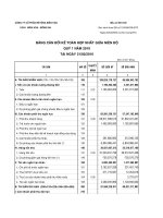 Báo cáo tài chính hợp nhất quý 1 năm 2010 - Công ty Cổ phần Bê tông Biên Hòa