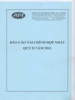 Báo cáo tài chính hợp nhất quý 2 năm 2011 - Công ty Cổ phần Chiếu xạ An Phú