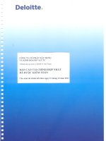 Báo cáo tài chính hợp nhất năm 2011 (đã kiểm toán) - Công ty Cổ phần Xây dựng và Kinh doanh Vật tư