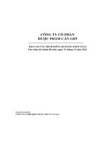 Báo cáo tài chính công ty mẹ năm 2013 (đã kiểm toán) - Công ty cổ phần Dược phẩm Cần Giờ