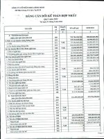 Báo cáo tài chính hợp nhất quý 1 năm 2011 - Công ty Cổ phần Nhựa Bình Minh