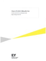 Báo cáo tài chính quý 2 năm 2013 (đã soát xét) - Công ty Cổ phần Xi măng Bỉm Sơn